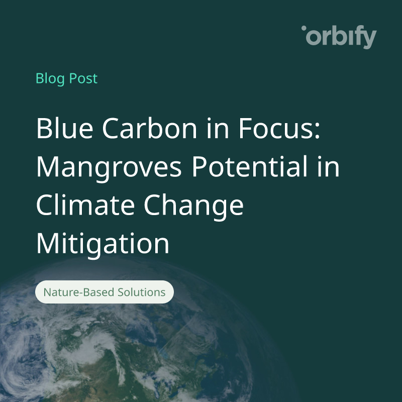 Blue Carbon in Focus: Mangroves Potential in Climate Change Mitigation