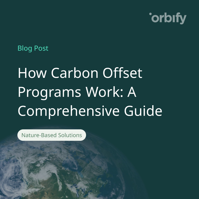 How Carbon Offset Programs Work: A Comprehensive Guide